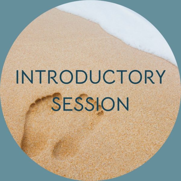 Moselle Mentorship Introductory Session